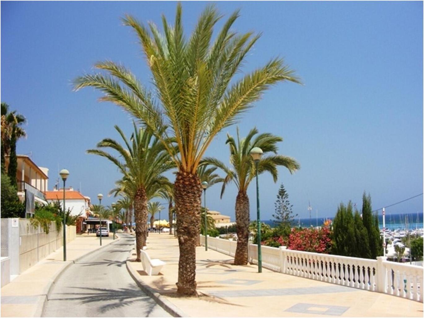 Torre De La Horadada - Modern And Comfortable 2 Bedroom Apartment Close To The Beach Torre de la Horadada Екстериор снимка